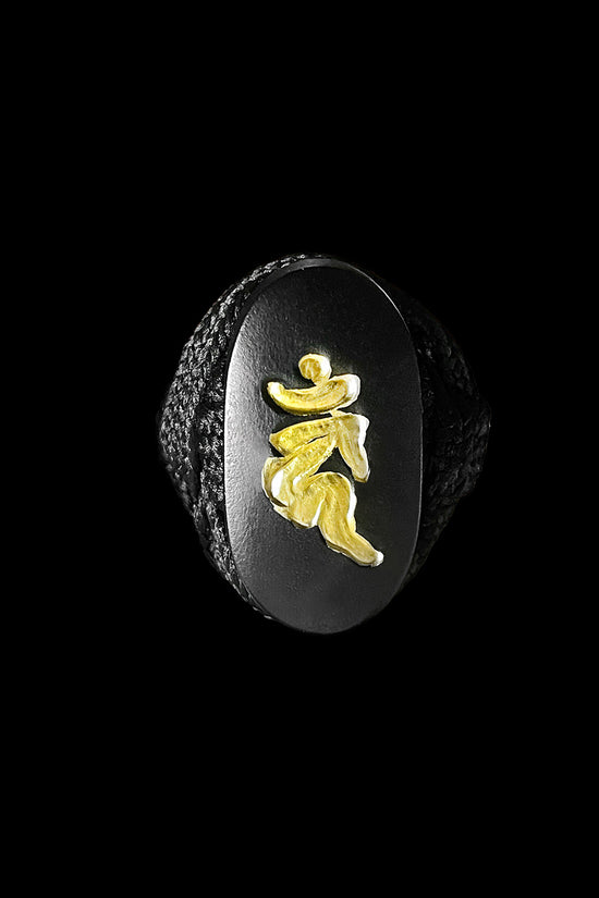 An oval black ring with a gold symbol - Guild Arms.