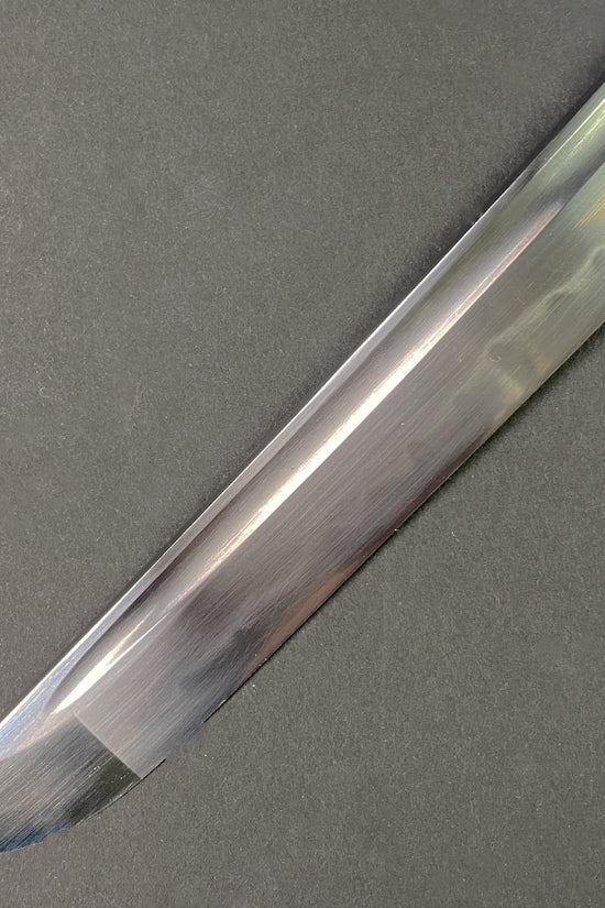 Musashi Sengoku Katana